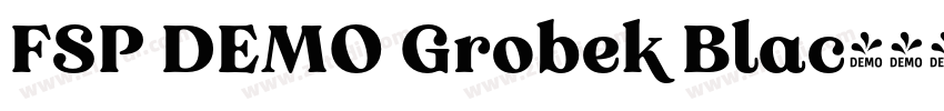 FSP DEMO Grobek Blac字体转换